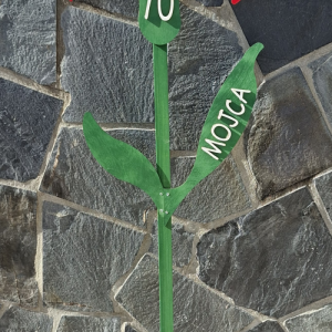 Rože za mlaj - nagelj po naročilu