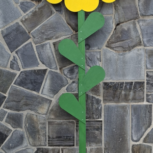 Rože za mlaj - trobentica velika