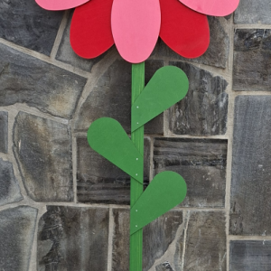 Roža za mlaj - dvobarvna ciklama - dobavljivo tudi v drugih barvah