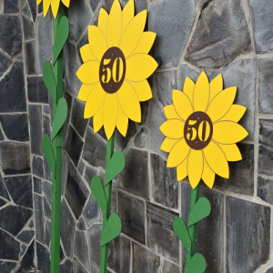 Rože za mlaj - sončnice - vse velikosti